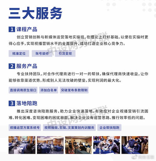 中設網(wǎng)勢互聯(lián)業(yè)務模式 技術創(chuàng)新驅動的專業(yè)推廣服務